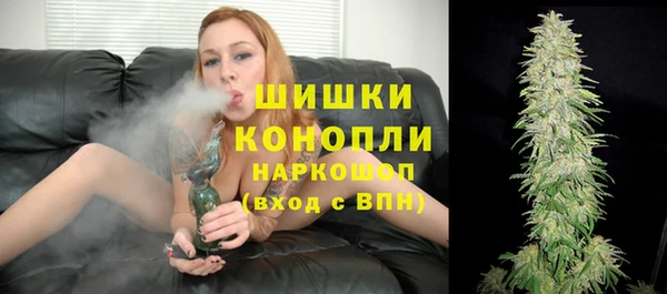 стаф Дмитровск
