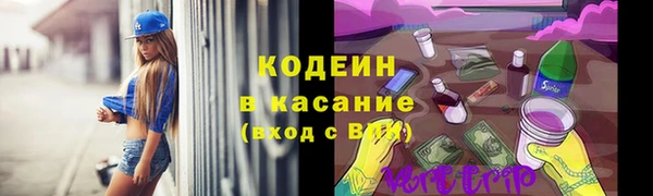 стаф Дмитровск