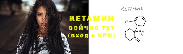 стаф Дмитровск