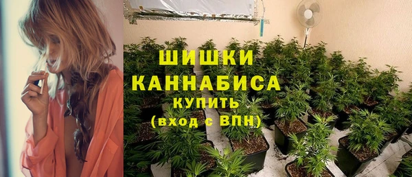 стаф Дмитровск