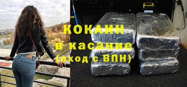 стаф Дмитровск