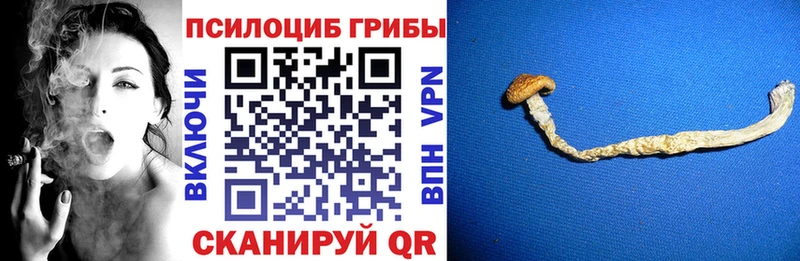где продают наркотики  Цивильск  Галлюциногенные грибы GOLDEN TEACHER 